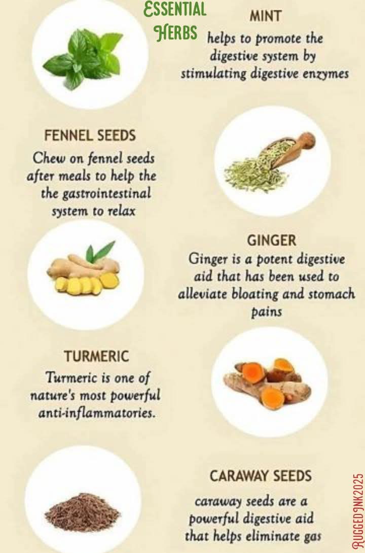 Essential herbs