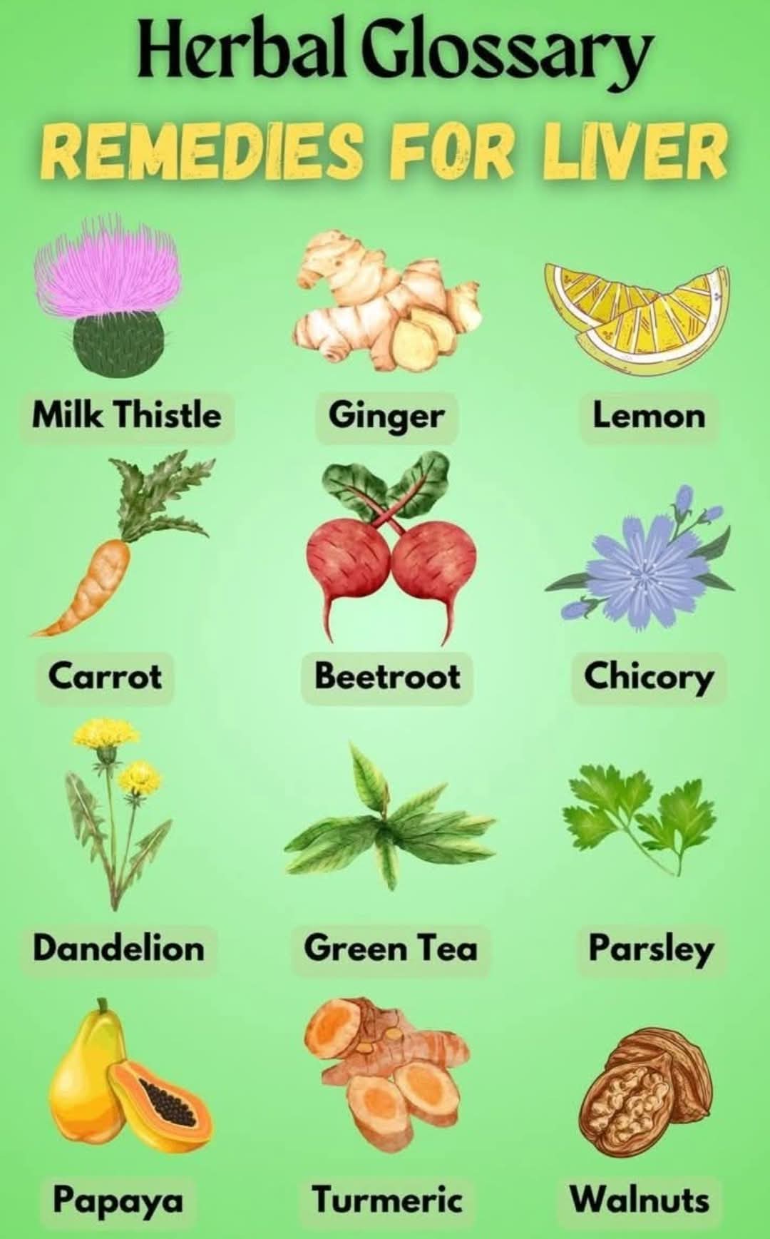 remedies for the liver